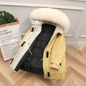 Winter Hooded Jacket Thick Warm Parkas Female Outerwear Large Natural Raccoon